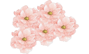 Your paragraph text1