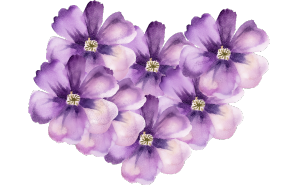 Your paragraph text2