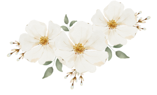 Your paragraph text3